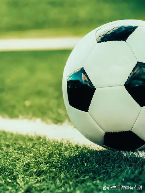 球探比分旧版本免费下载